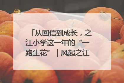 从回信到成长，之江小学这一年的“一路生花”｜风起之江 扶摇直上
