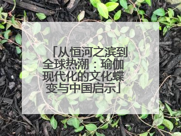 从恒河之滨到全球热潮：瑜伽现代化的文化蝶变与中国启示
