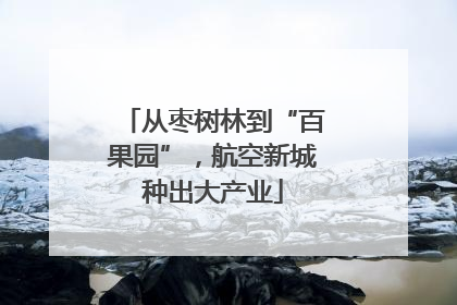 从枣树林到“百果园”，航空新城种出大产业