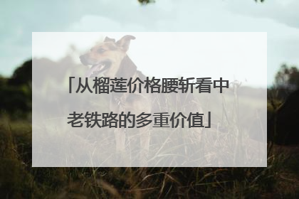 从榴莲价格腰斩看中老铁路的多重价值