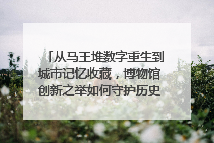 从马王堆数字重生到城市记忆收藏，博物馆创新之举如何守护历史、连接未来？