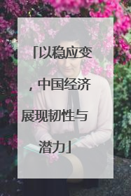 以稳应变，中国经济展现韧性与潜力