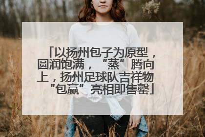 以扬州包子为原型，圆润饱满，“蒸”腾向上，扬州足球队吉祥物“包赢”亮相即售罄