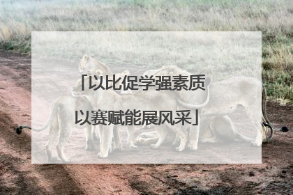 以比促学强素质 以赛赋能展风采