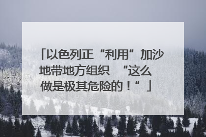 以色列正“利用”加沙地带地方组织  “这么做是极其危险的！”
