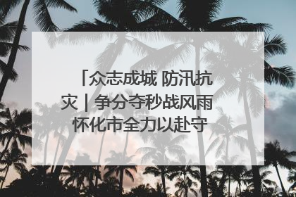 众志成城 防汛抗灾｜争分夺秒战风雨 怀化市全力以赴守护人民群众安全