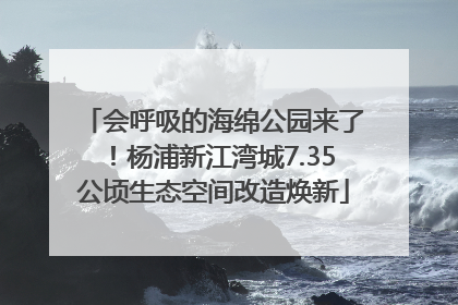 会呼吸的海绵公园来了！杨浦新江湾城7.35公顷生态空间改造焕新