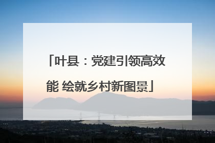 叶县：党建引领高效能 绘就乡村新图景