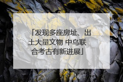 发现多座房址、出土大量文物 中乌联合考古有新进展