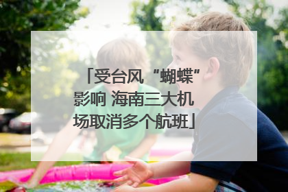 受台风“蝴蝶”影响 海南三大机场取消多个航班