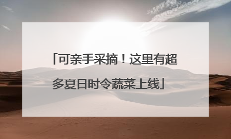 可亲手采摘！这里有超多夏日时令蔬菜上线