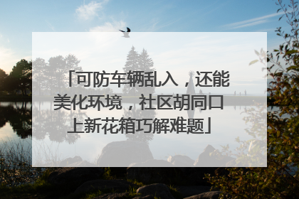 可防车辆乱入，还能美化环境，社区胡同口上新花箱巧解难题