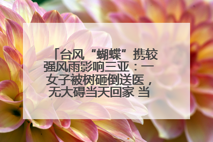 台风“蝴蝶”携较强风雨影响三亚：一女子被树砸倒送医，无大碍当天回家 当地已紧急清障