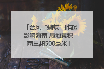 台风“蝴蝶”昨起影响海南 局地累积雨量超500毫米