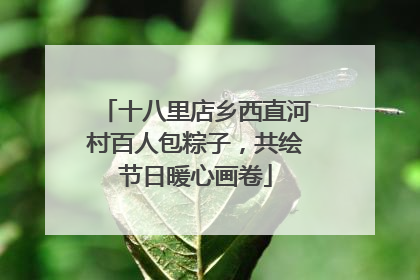 十八里店乡西直河村百人包粽子，共绘节日暖心画卷