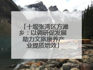 十堰张湾区方滩乡：以调研促发展 助力文旅康养产业提质增效