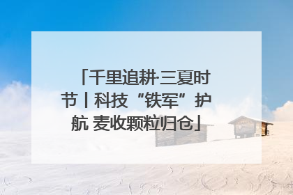 千里追耕·三夏时节丨科技“铁军”护航 麦收颗粒归仓