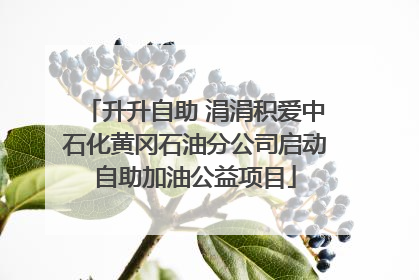 升升自助 涓涓积爱中石化黄冈石油分公司启动自助加油公益项目