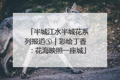 半城江水半城花系列报道⑤｜彩绘丁香：花海映照一座城