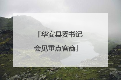 华安县委书记会见重点客商