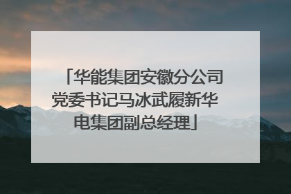 华能集团安徽分公司党委书记马冰武履新华电集团副总经理