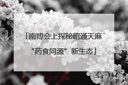 南博会上探秘昭通天麻“药食同源”新生态
