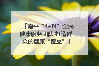 南平“4+N”全民健康服务团队 打造群众的健康“医靠”