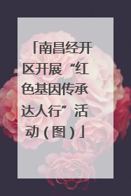 南昌经开区开展“红色基因传承达人行”活动（图）