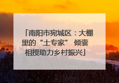 南阳市宛城区：大棚里的“土专家” 倾囊相授助力乡村振兴