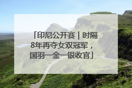 印尼公开赛｜时隔8年再夺女双冠军，国羽一金一银收官