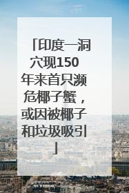 印度一洞穴现150年来首只濒危椰子蟹，或因被椰子和垃圾吸引