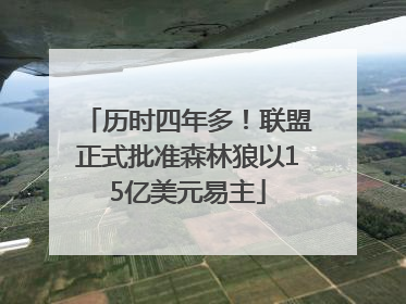 历时四年多！联盟正式批准森林狼以15亿美元易主