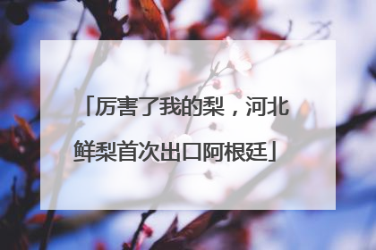 厉害了我的梨，河北鲜梨首次出口阿根廷