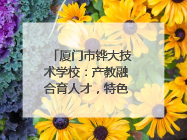 厦门市铧大技术学校：产教融合育人才，特色办学谱新篇