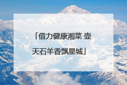借力健康湘菜 壶天石羊香飘星城