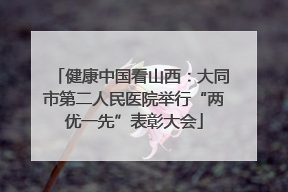 健康中国看山西：大同市第二人民医院举行“两优一先”表彰大会