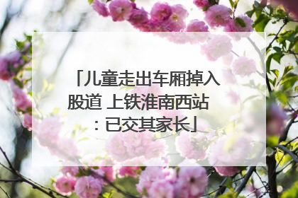 儿童走出车厢掉入股道 上铁淮南西站：已交其家长