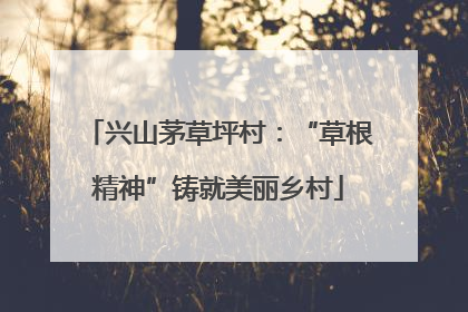 兴山茅草坪村：“草根精神”铸就美丽乡村