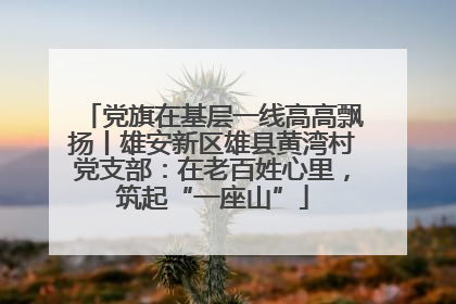 党旗在基层一线高高飘扬丨雄安新区雄县黄湾村党支部：在老百姓心里，筑起“一座山”