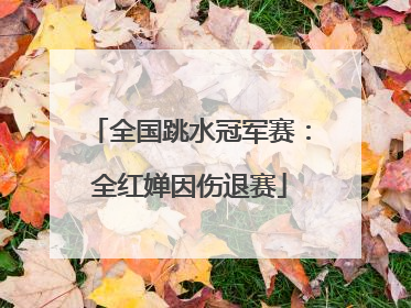 全国跳水冠军赛：全红婵因伤退赛