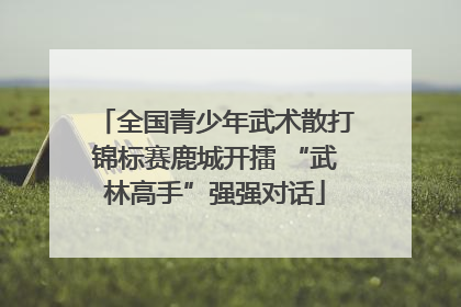 全国青少年武术散打锦标赛鹿城开擂 “武林高手”强强对话