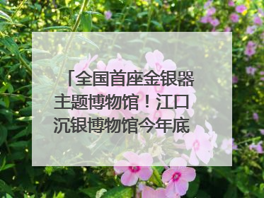 全国首座金银器主题博物馆！江口沉银博物馆今年底投入试运行｜万千气象看四川