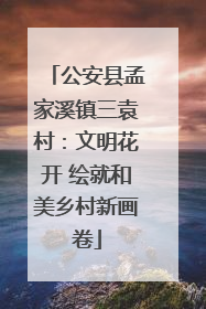 公安县孟家溪镇三袁村：文明花开 绘就和美乡村新画卷
