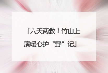 六天两救！竹山上演暖心护“野”记