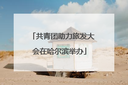 共青团助力旅发大会在哈尔滨举办