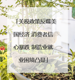 关税政策反噬美国经济 消费者信心暴跌 制造业就业困境凸显