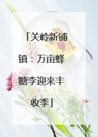 关岭新铺镇：万亩蜂糖李迎来丰收季