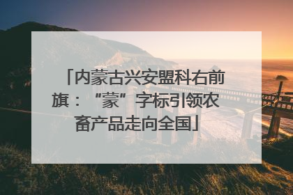 内蒙古兴安盟科右前旗：“蒙”字标引领农畜产品走向全国