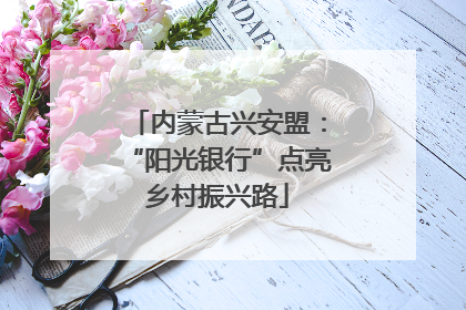 内蒙古兴安盟：“阳光银行”点亮乡村振兴路