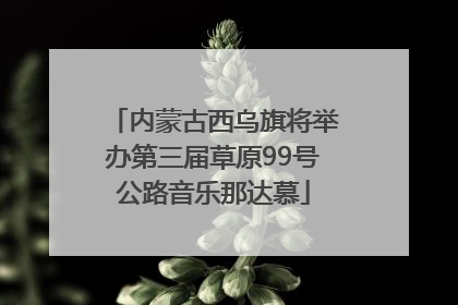 内蒙古西乌旗将举办第三届草原99号公路音乐那达慕